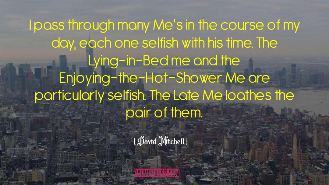 Meltingly Hot quotes by David Mitchell