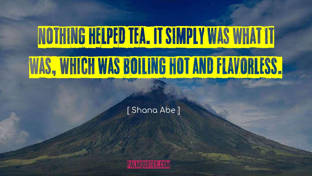 Meltingly Hot quotes by Shana Abe