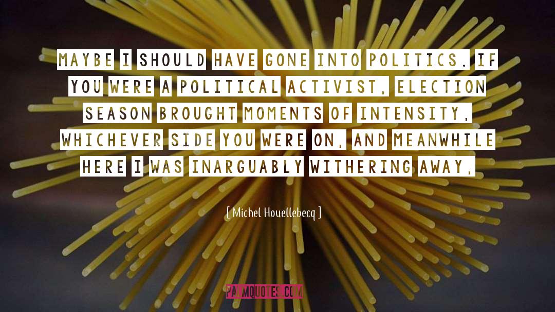 Memorable Moments quotes by Michel Houellebecq