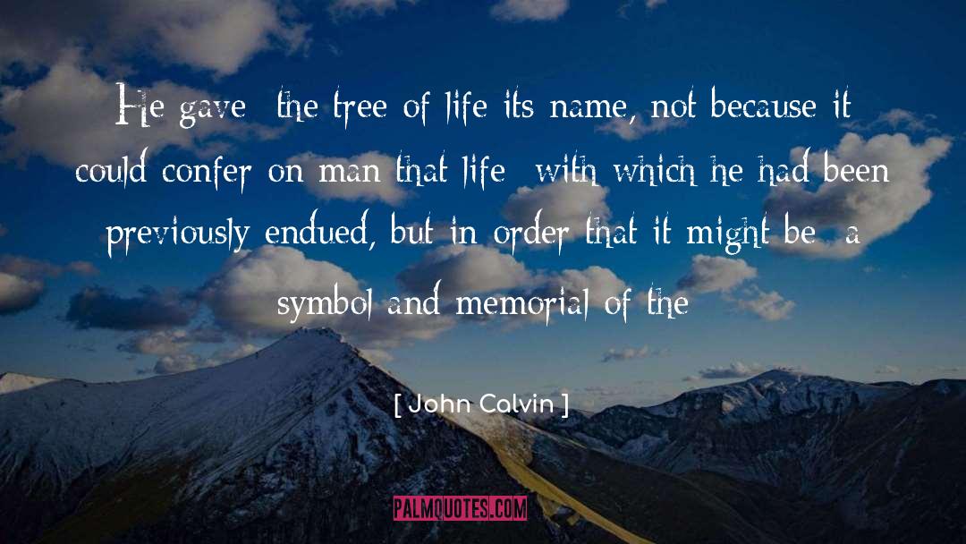 Memorial quotes by John Calvin