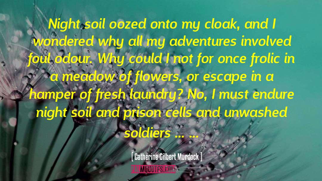 Memorializing Soldiers quotes by Catherine Gilbert Murdock