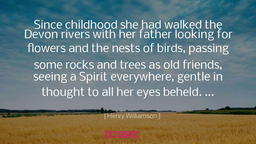Memory Eyes quotes by Henry Williamson