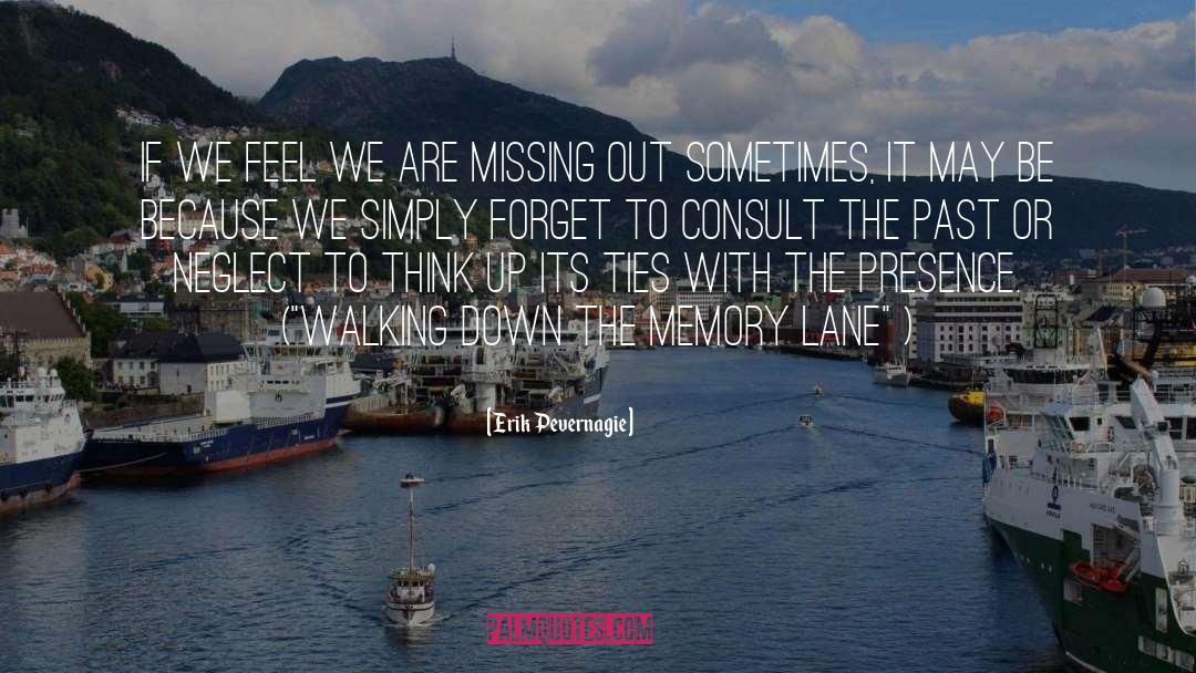 Memory Lane quotes by Erik Pevernagie