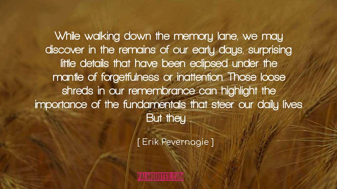 Memory Lane quotes by Erik Pevernagie