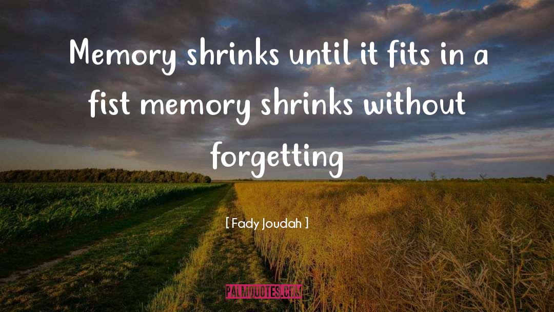 Memory Pillows quotes by Fady Joudah