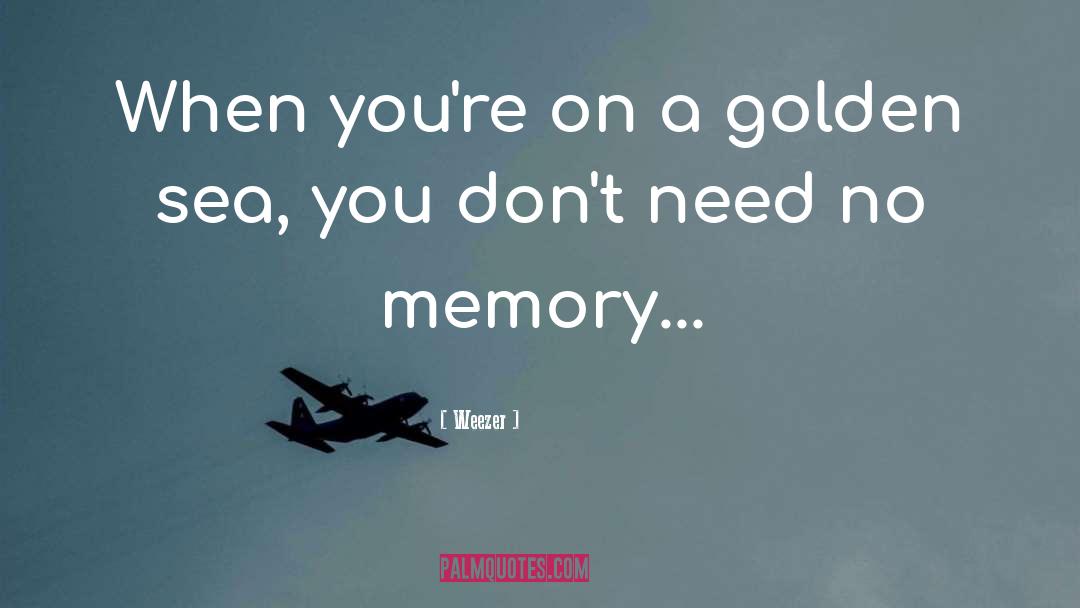 Memory quotes by Weezer