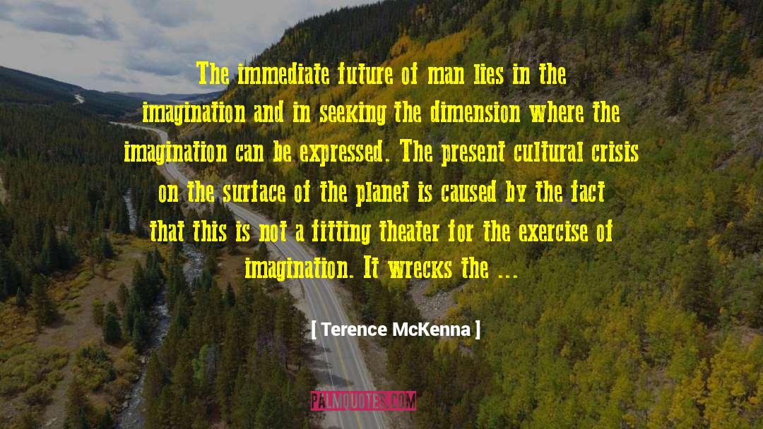 Men Seeking Women quotes by Terence McKenna