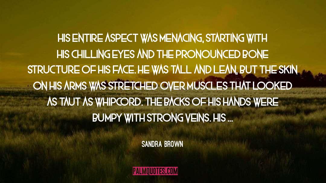 Menacing quotes by Sandra Brown