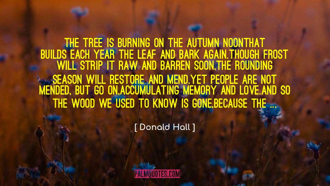 Mend quotes by Donald Hall