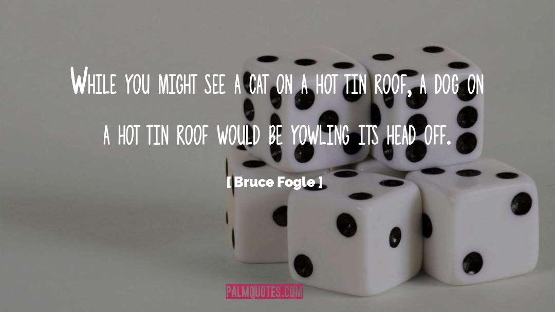 Mendacity Cat On A Hot Tin Roof quotes by Bruce Fogle