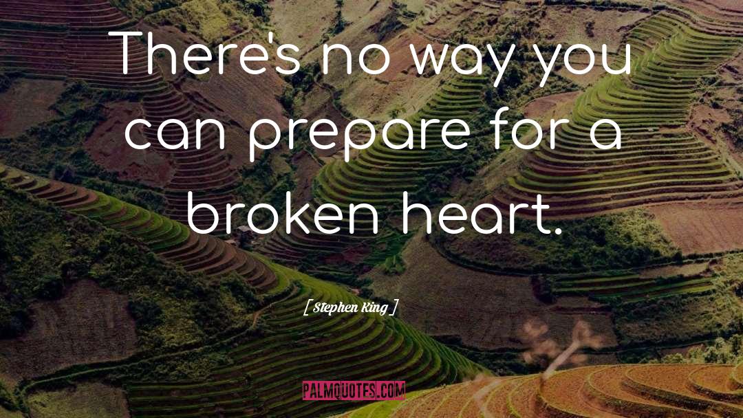 Mending A Broken Heart quotes by Stephen King