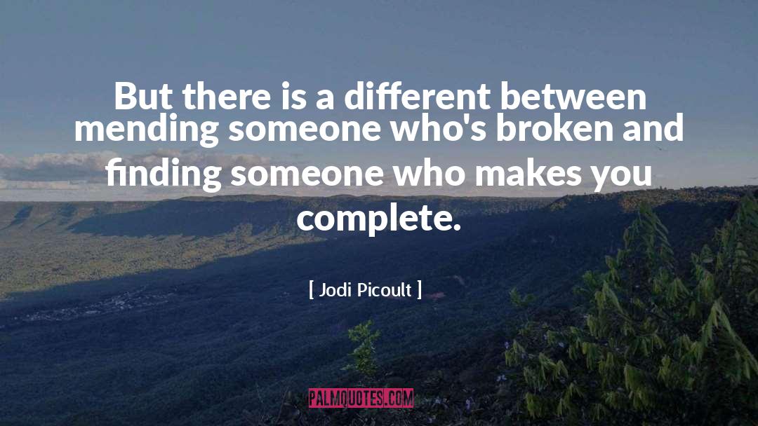Mending quotes by Jodi Picoult
