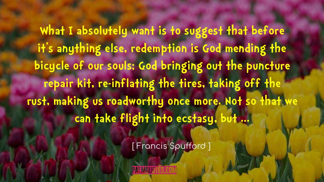 Mending quotes by Francis Spufford