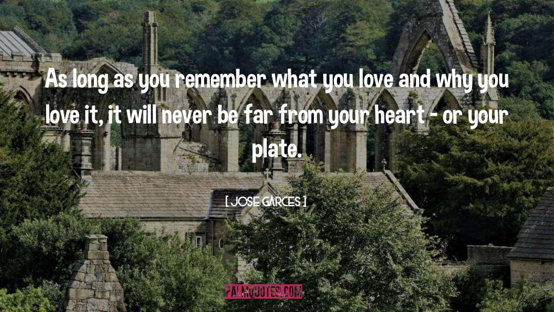 Mending Your Heart quotes by Jose Garces