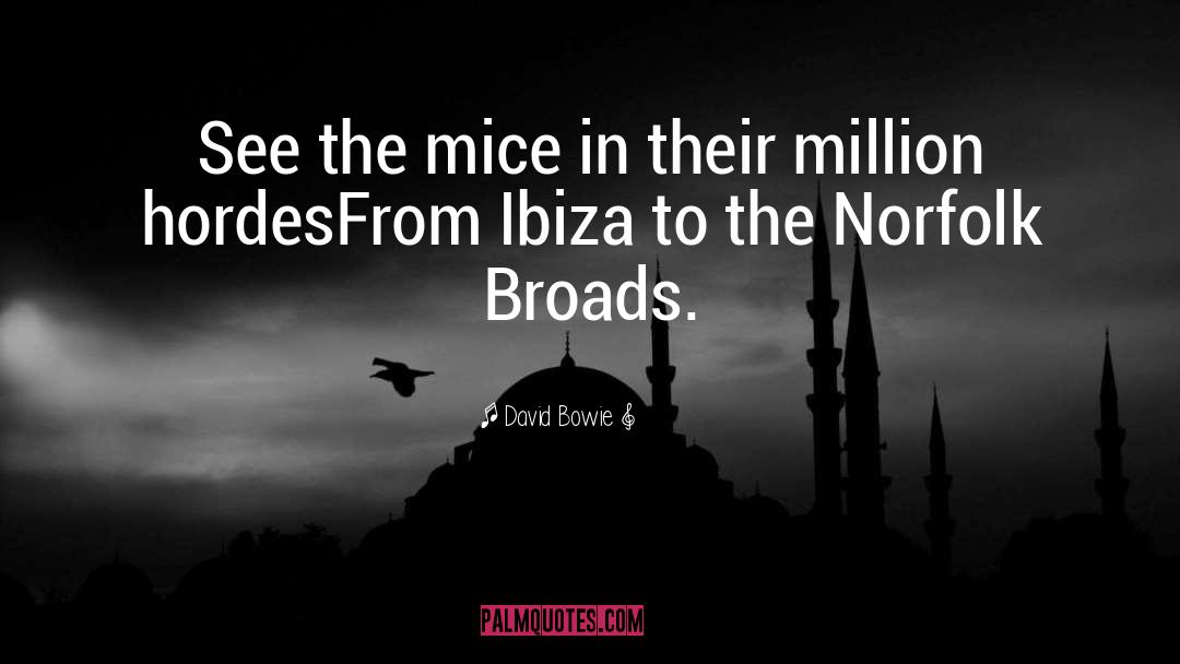 Meneghello Ibiza quotes by David Bowie
