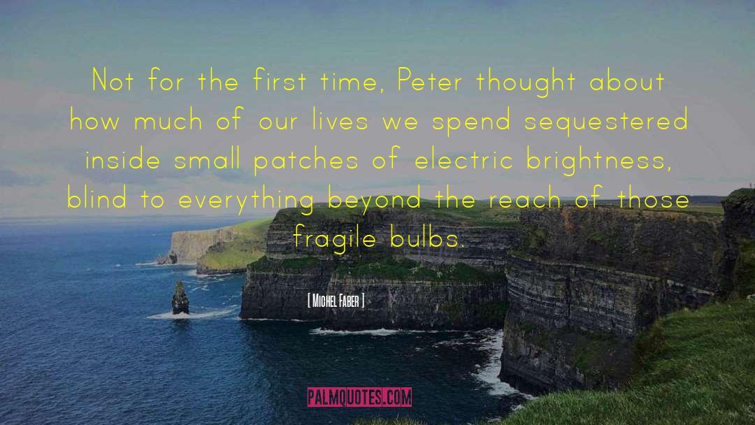 Mennella Electric quotes by Michel Faber