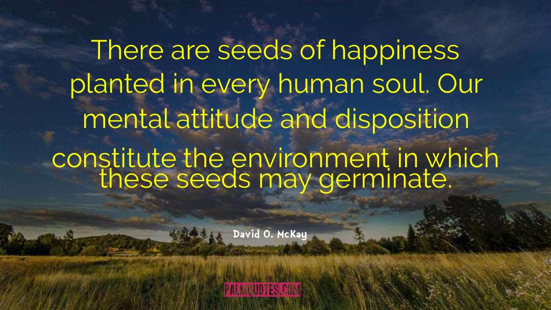 Mental Attitude quotes by David O. McKay