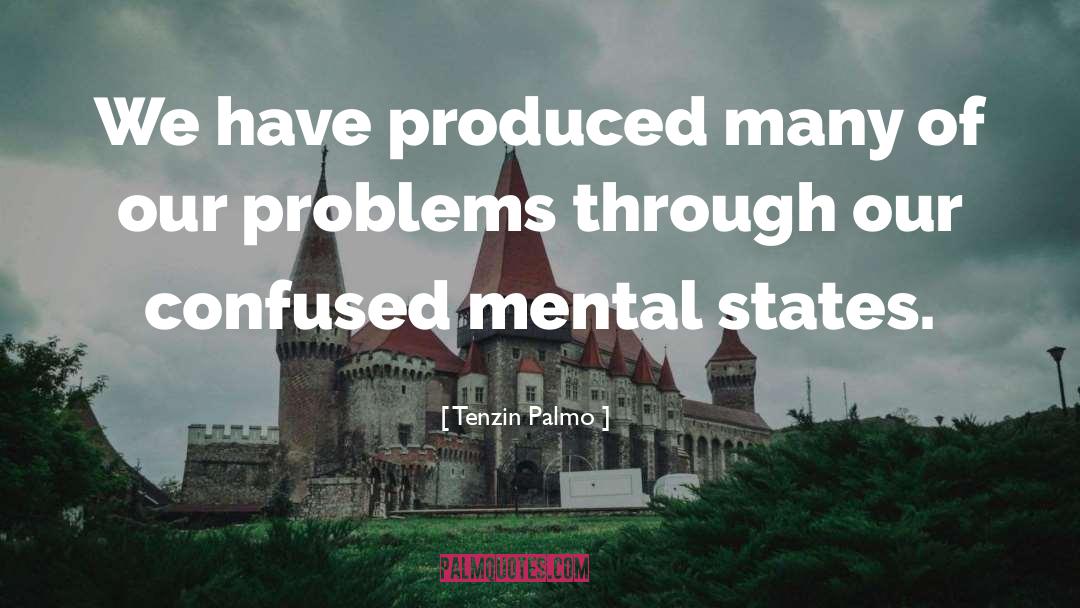 Mental Balance quotes by Tenzin Palmo