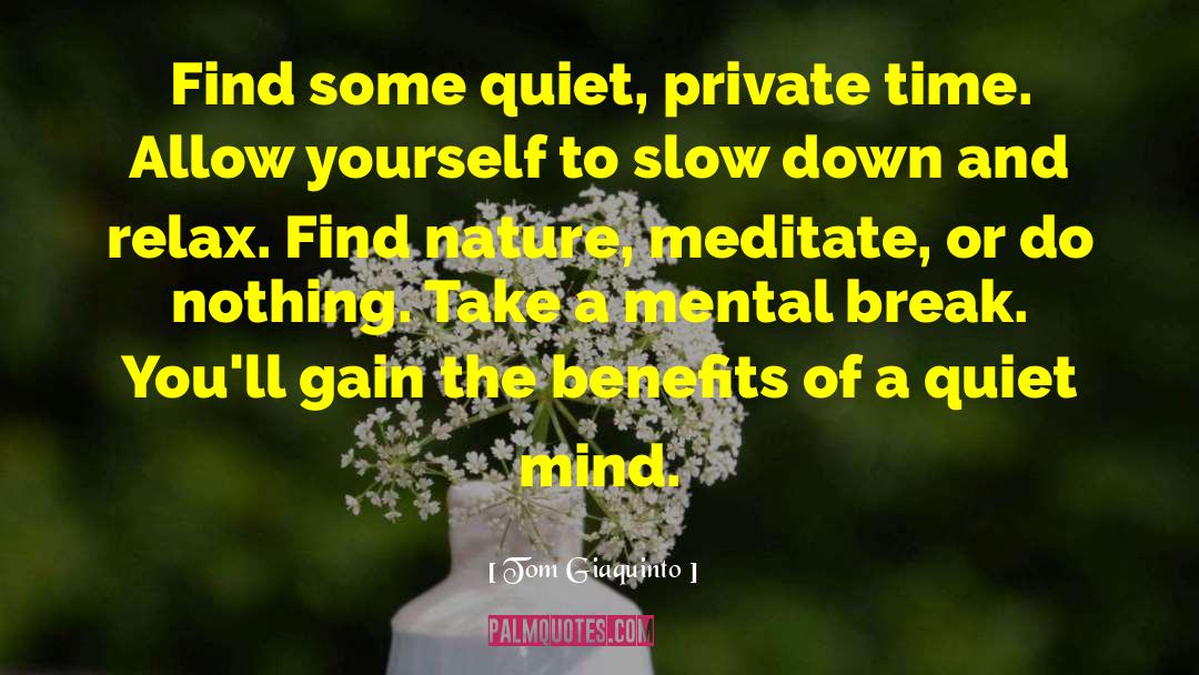 Mental Break quotes by Tom Giaquinto