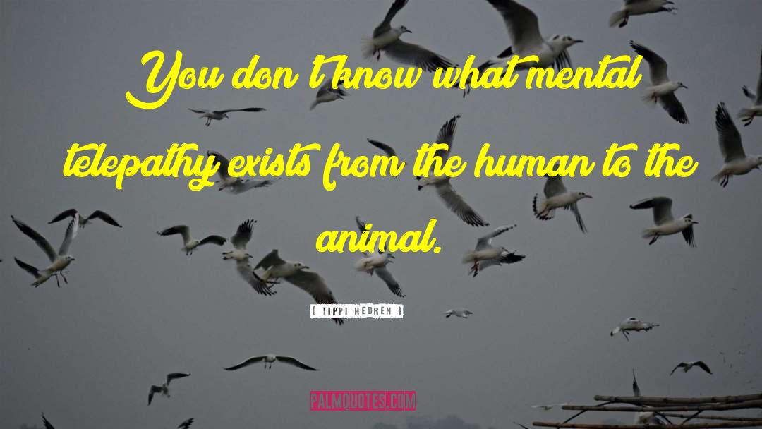 Mental Construct quotes by Tippi Hedren