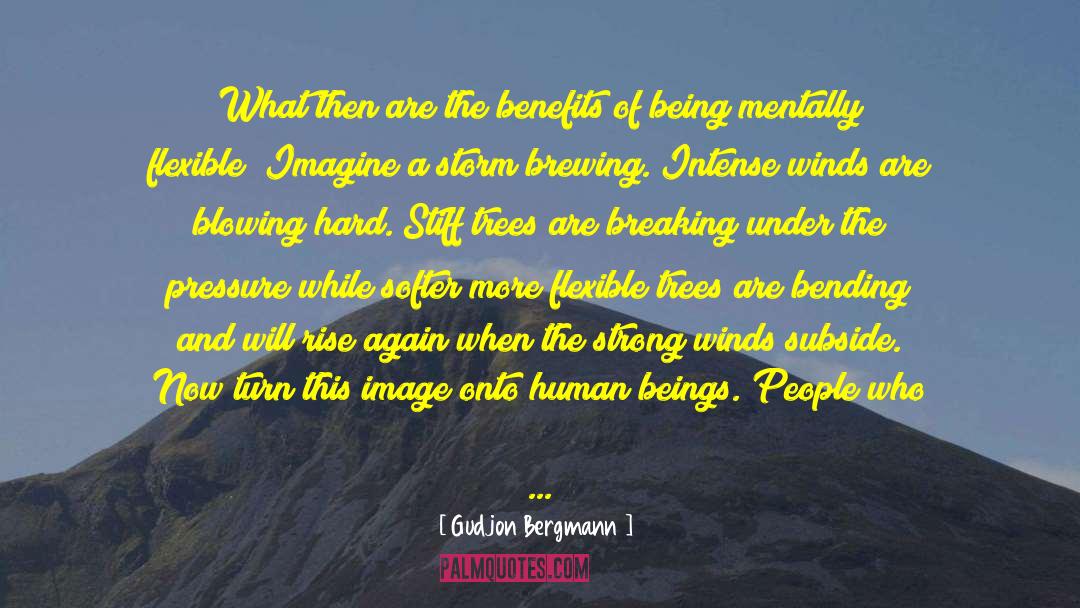Mental Flexibility quotes by Gudjon Bergmann