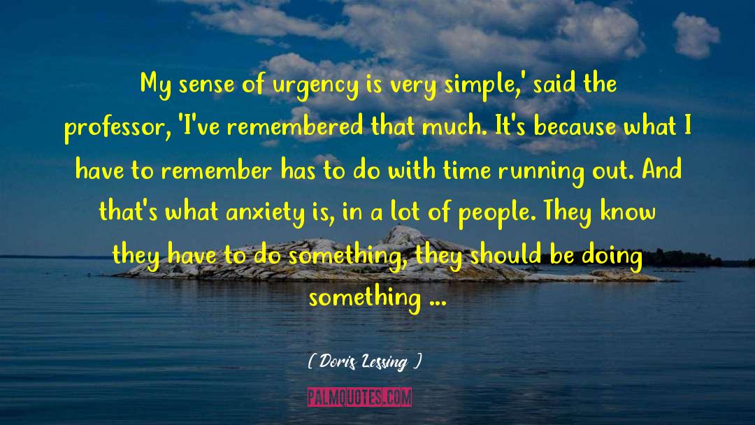 Mental Hospitals quotes by Doris Lessing