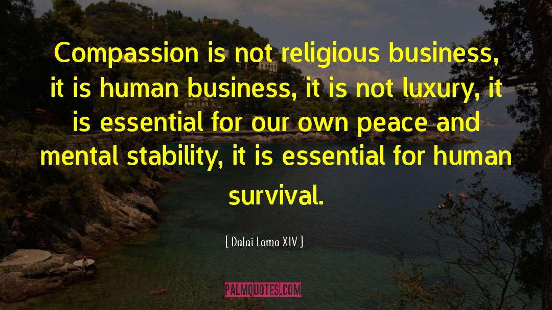 Mental Stability quotes by Dalai Lama XIV