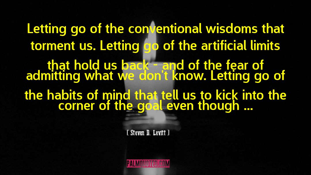 Mental Torment quotes by Steven D. Levitt