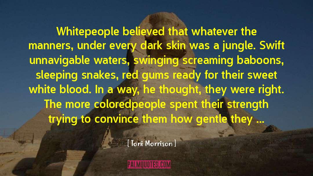 Mentle Gentle quotes by Toni Morrison
