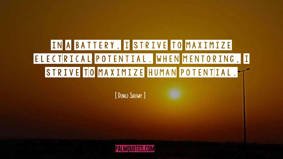 Mentor quotes by Donald Sadoway