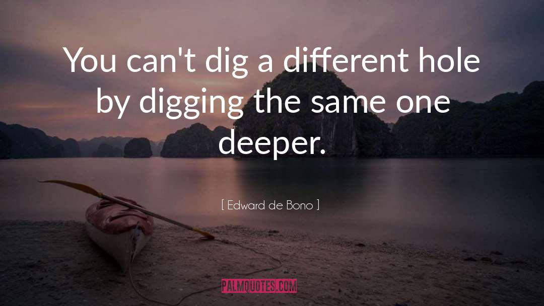 Mentoring quotes by Edward De Bono