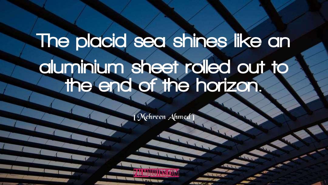 Menuisier Aluminium quotes by Mehreen Ahmed