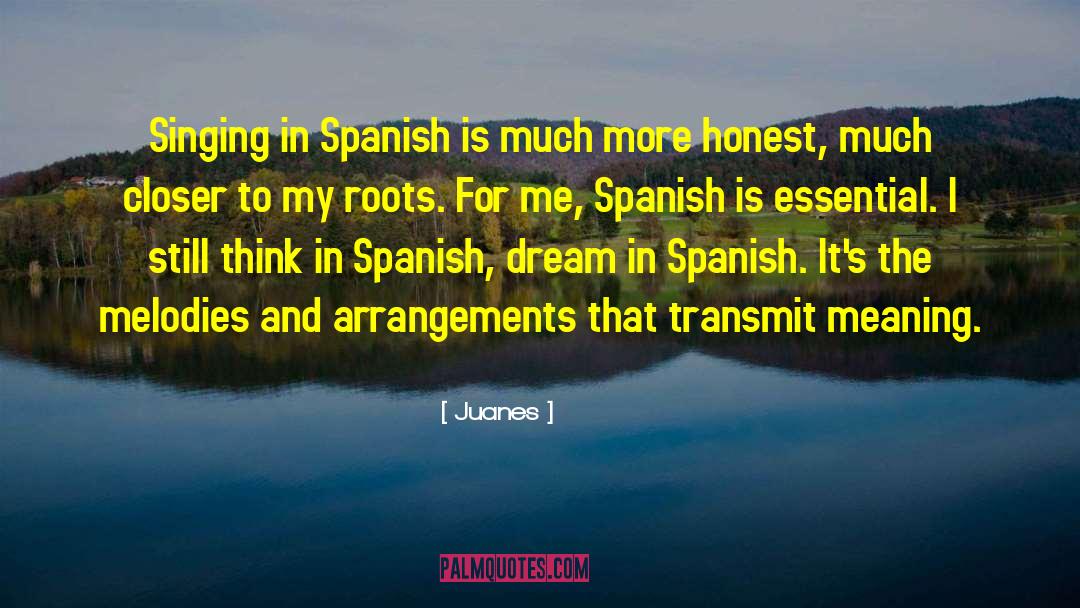 Menzo Spanish quotes by Juanes