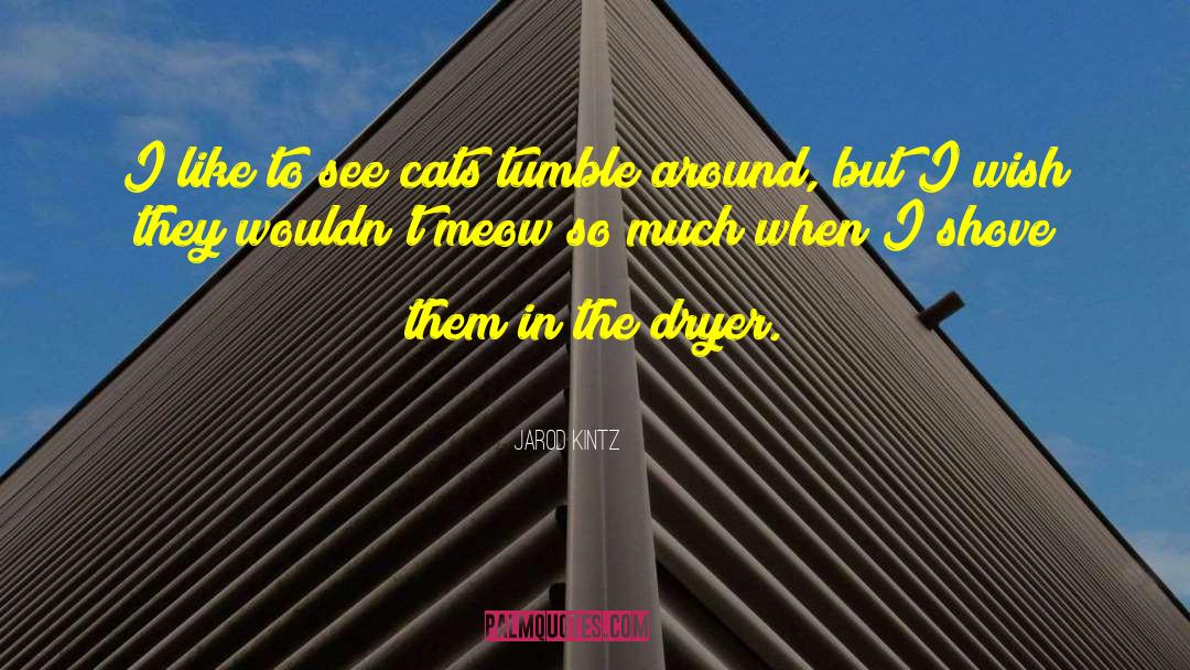 Meow Meow Beenz quotes by Jarod Kintz