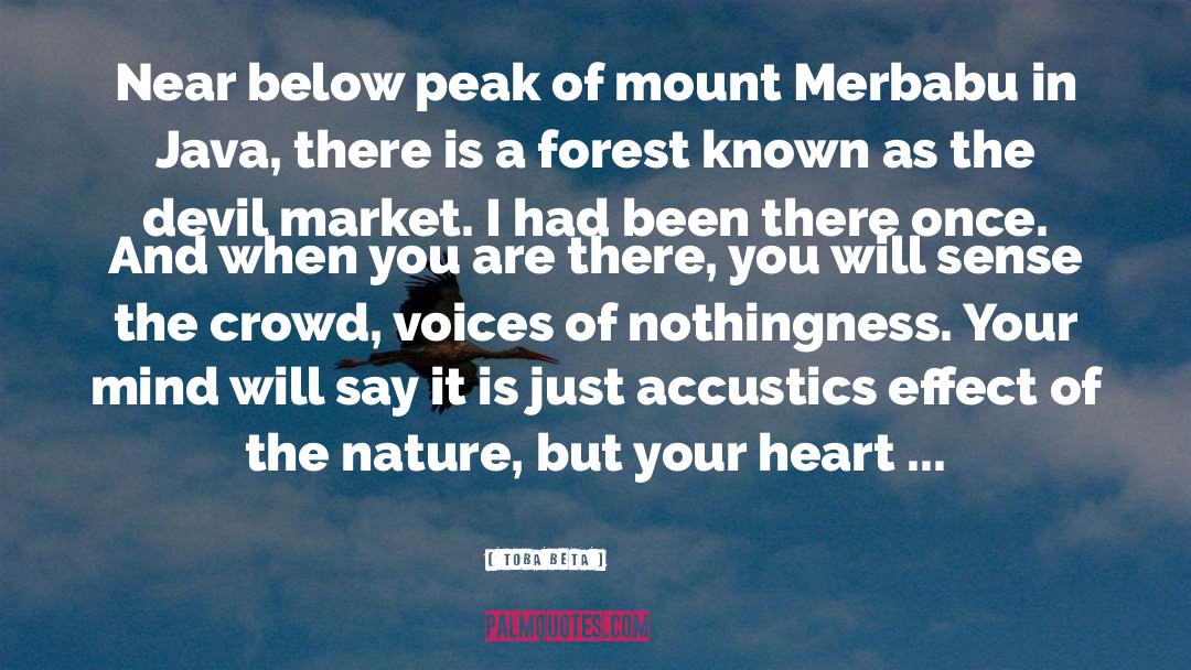 Merbabu quotes by Toba Beta