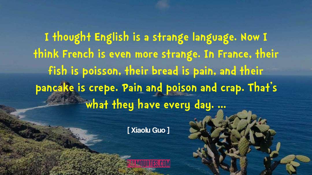 Mercredi In English quotes by Xiaolu Guo