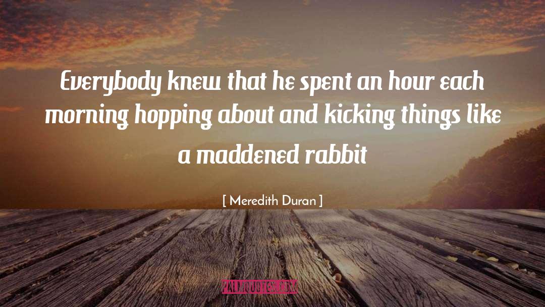 Meredith Duran quotes by Meredith Duran