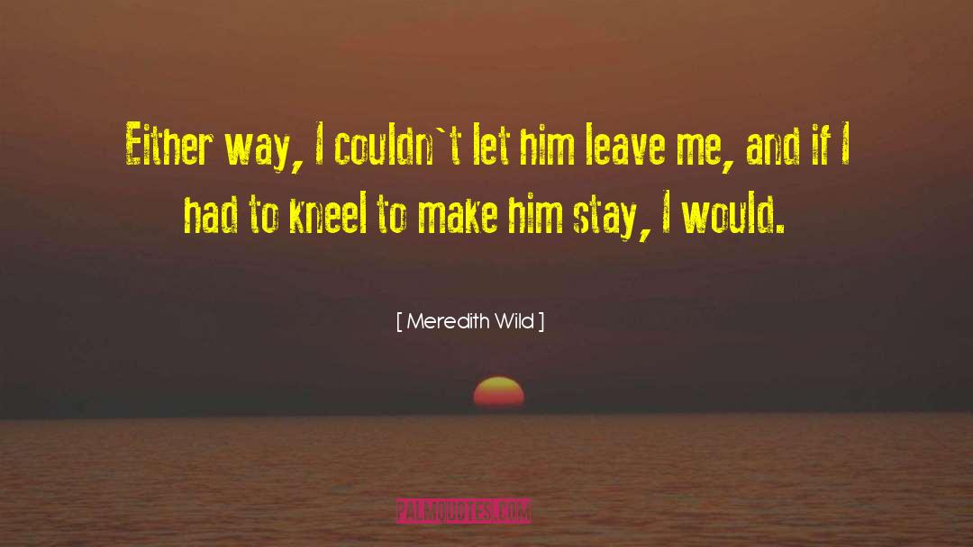 Meredith Wild quotes by Meredith Wild