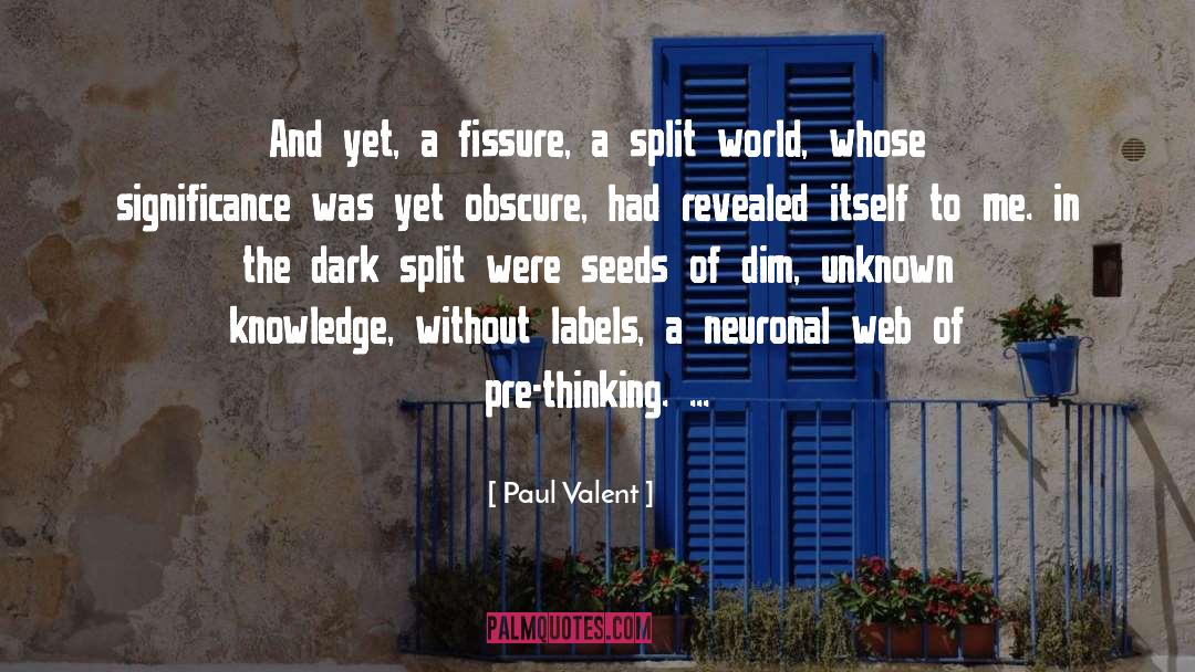 Meridian Psychotherapist quotes by Paul Valent