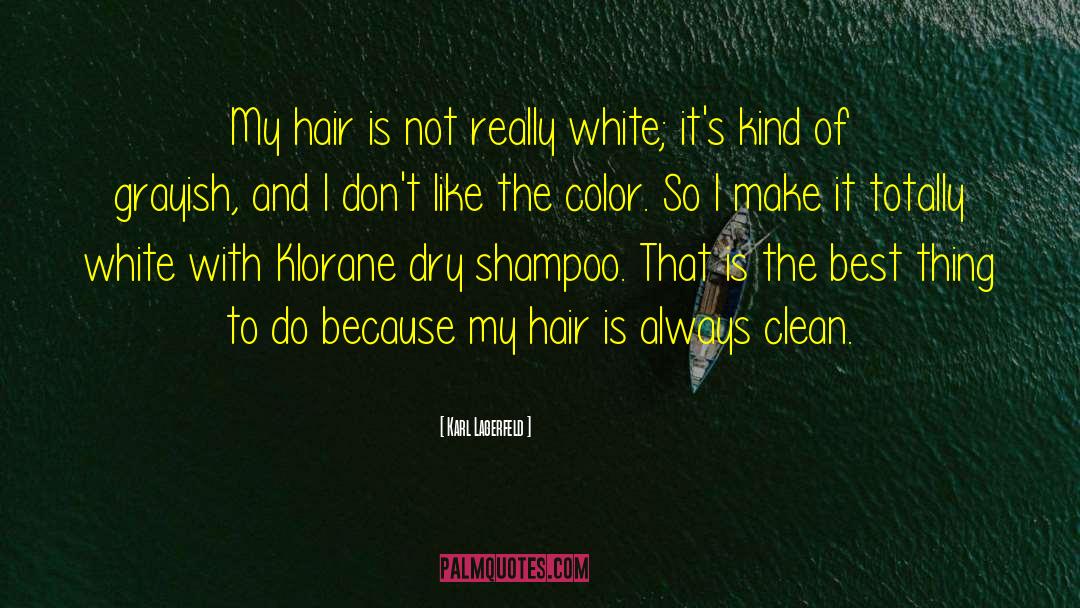 Meriting Shampoo quotes by Karl Lagerfeld