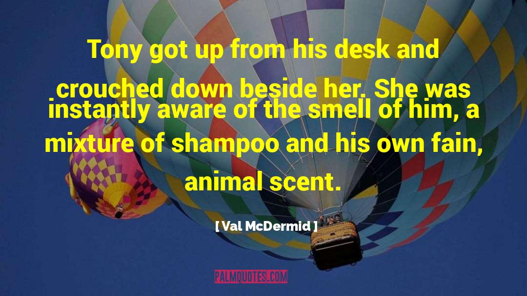 Meriting Shampoo quotes by Val McDermid
