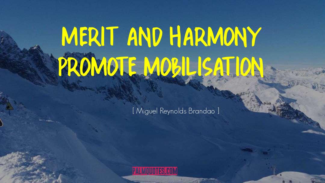 Meritocracy quotes by Miguel Reynolds Brandao