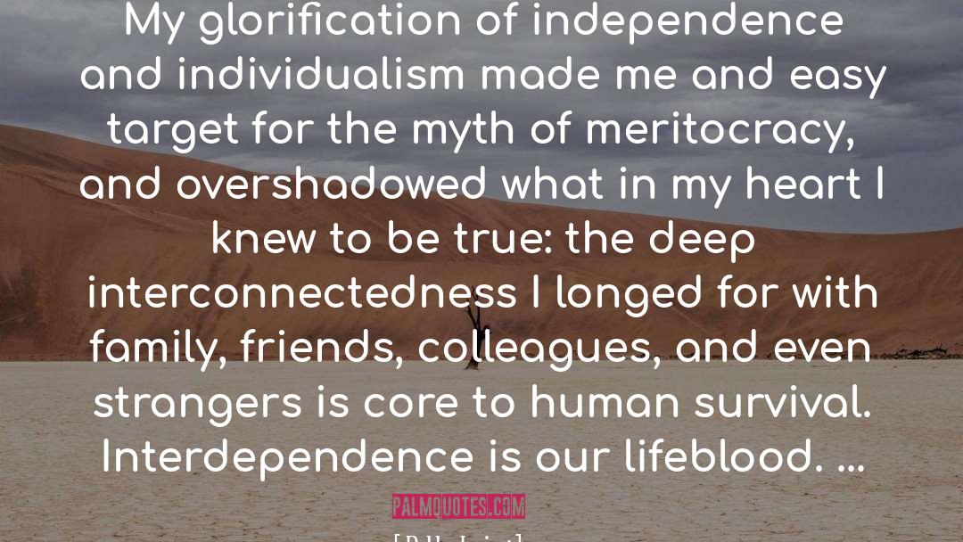 Meritocracy quotes by Debby Irving