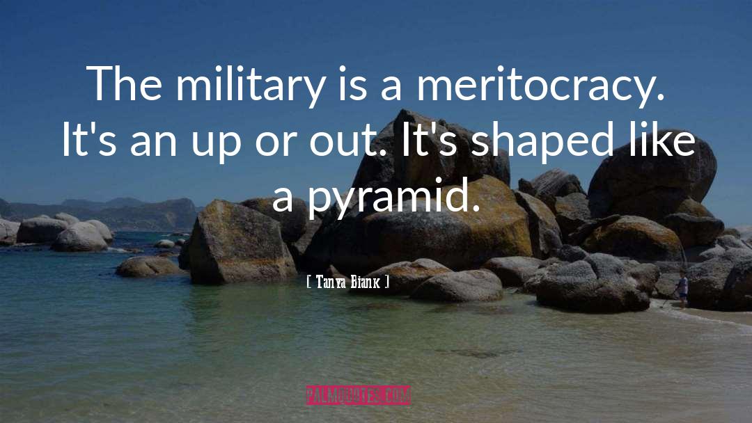 Meritocracy quotes by Tanya Biank