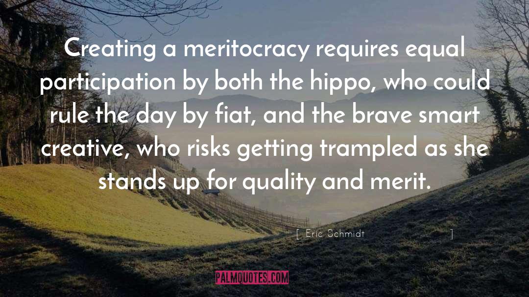 Meritocracy quotes by Eric Schmidt