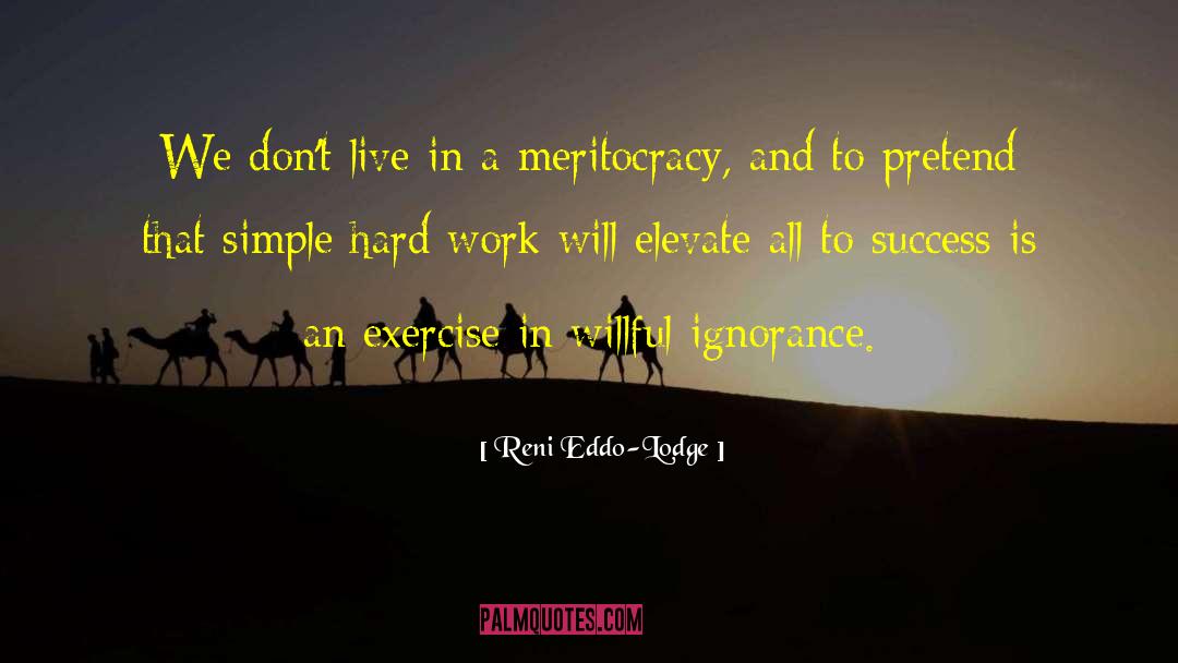 Meritocracy quotes by Reni Eddo-Lodge