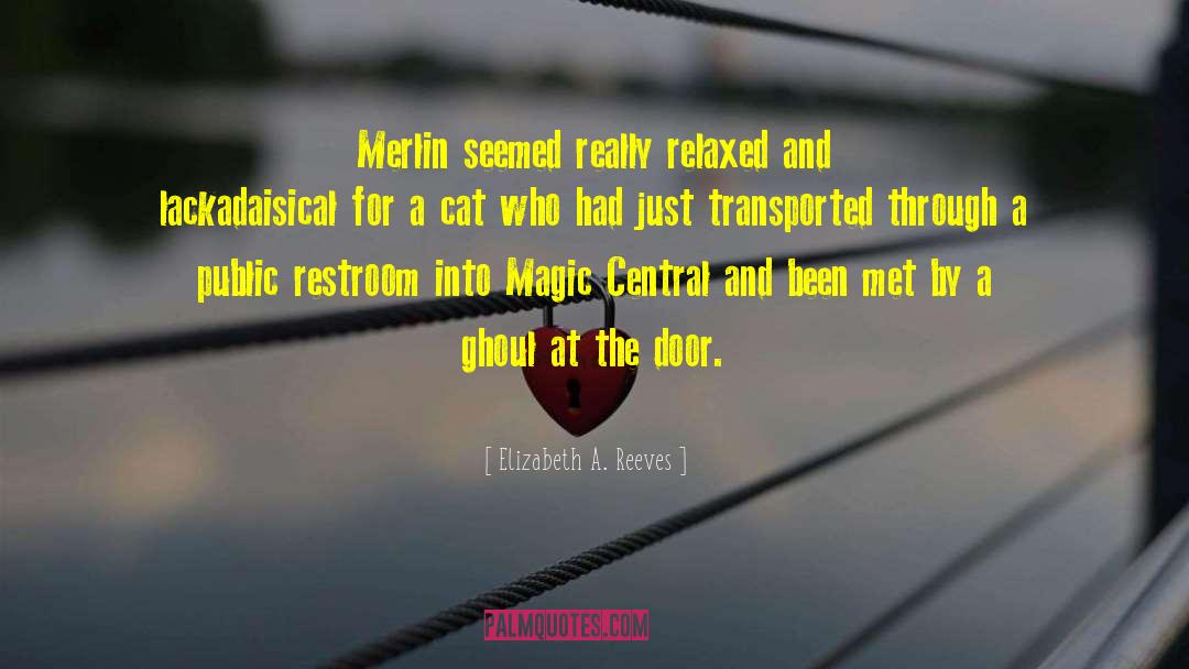 Merlin S quotes by Elizabeth A. Reeves