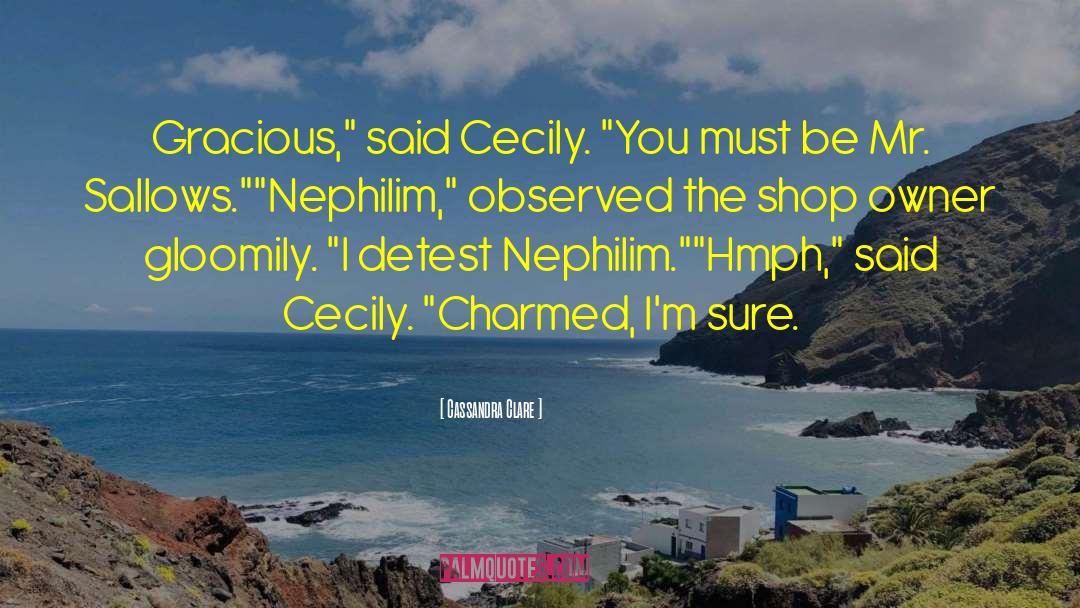 Merlins Shop quotes by Cassandra Clare