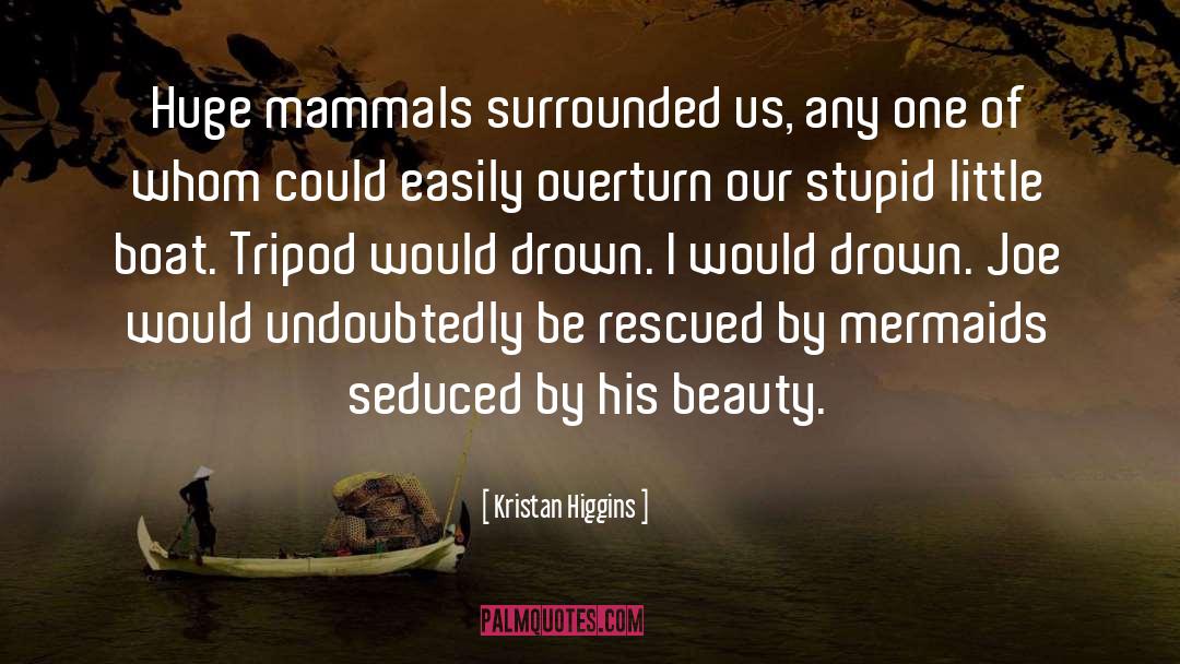 Mermaids quotes by Kristan Higgins