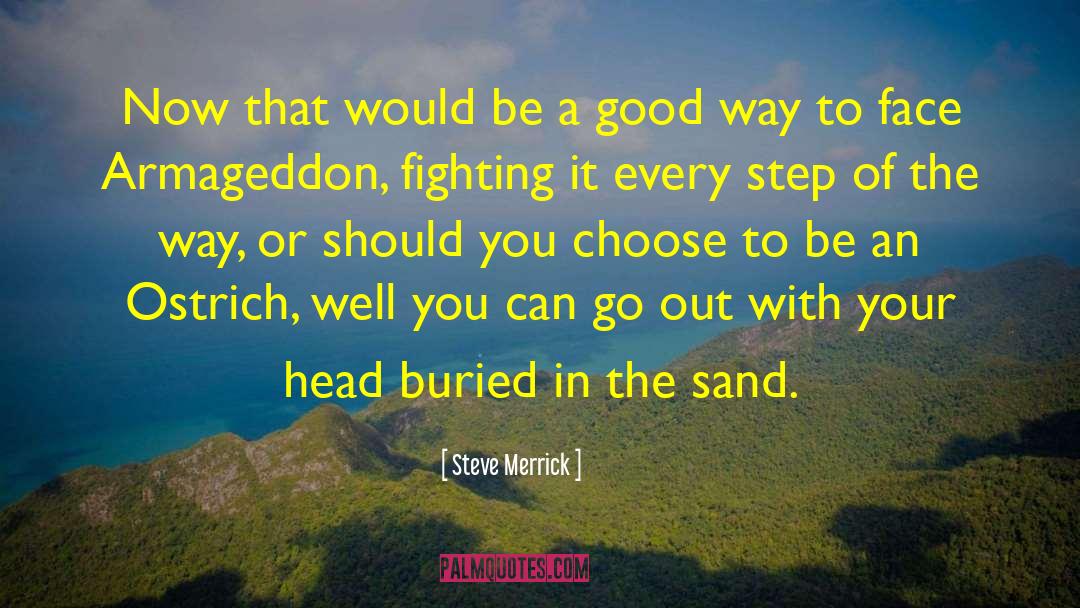 Merrick quotes by Steve Merrick